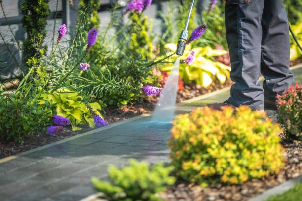 Best Driveway Pressure Washing  in Ormond By The Sea, FL
