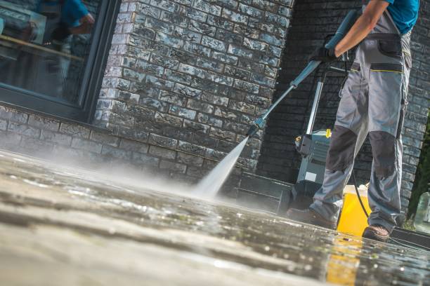 Best Graffiti Removal  in Ormond By The Sea, FL