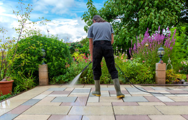 Best Sidewalk and Walkway Cleaning  in Ormond By The Sea, FL